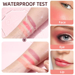 Waterproof Face Liquid Blush Eyeshadow Makeup With Cushion Applicator